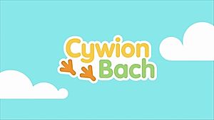 Cywion Bach